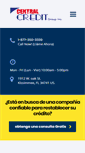 Mobile Screenshot of centralcreditgroup.com